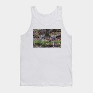 Pair of coyotes in a forest Tank Top